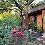Un Jardin En Appartement