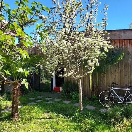 Un Jardin En 公寓 *