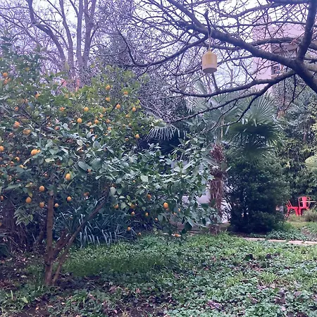 Un Jardin En Apartment Toulouse