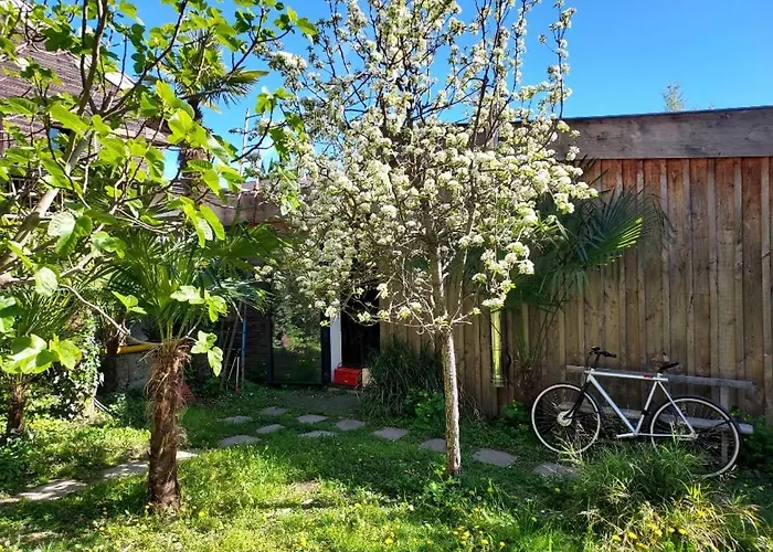 Un Jardin En 公寓 *