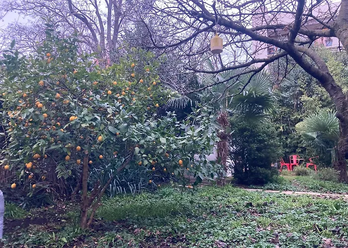 Un Jardin En 公寓 圖盧茲